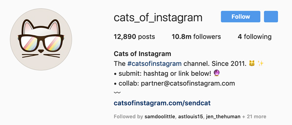 پروفایل اینستاگرام - Cats_Of_Instagram