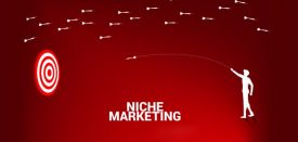 نیچ مارکتینگ (Niche Marketing) یا بازاریابی جاویژه چیست؟