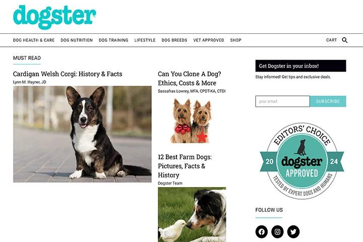 Dogster